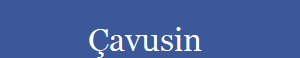           avusin