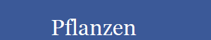          Pflanzen